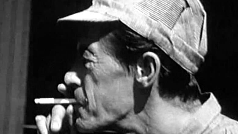 Red Zone Cuba still
