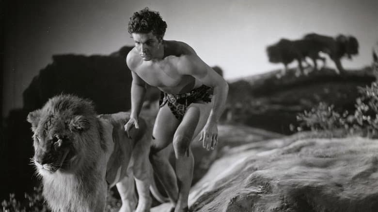 King of the Jungle still