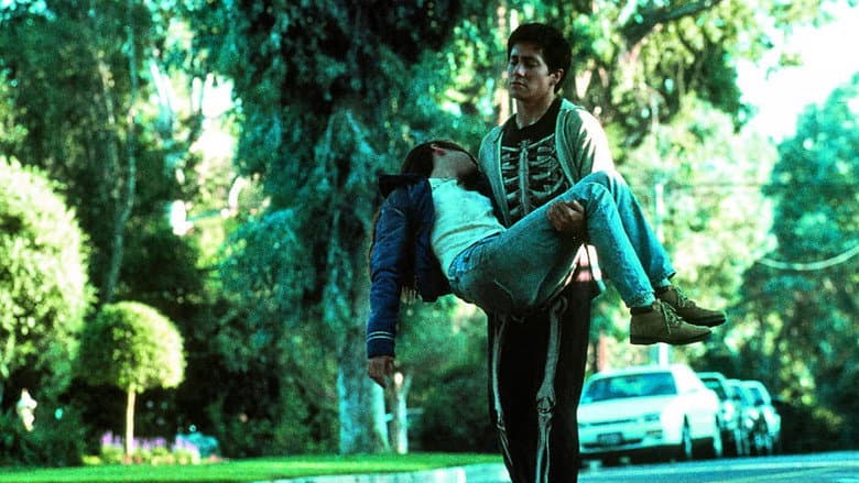 Donnie Darko still