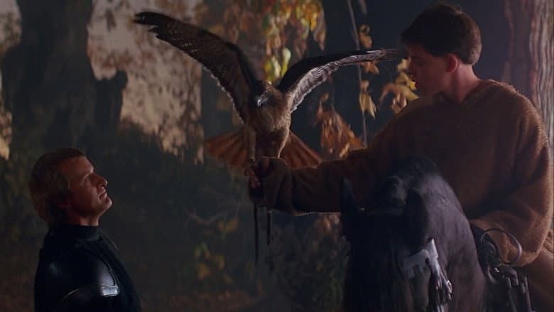 Ladyhawke still