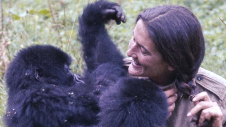 Dian Fossey: Ihr Leben für die Gorillas still