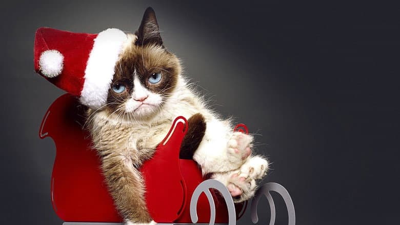 Grumpy Cat's Worst Christmas Ever still