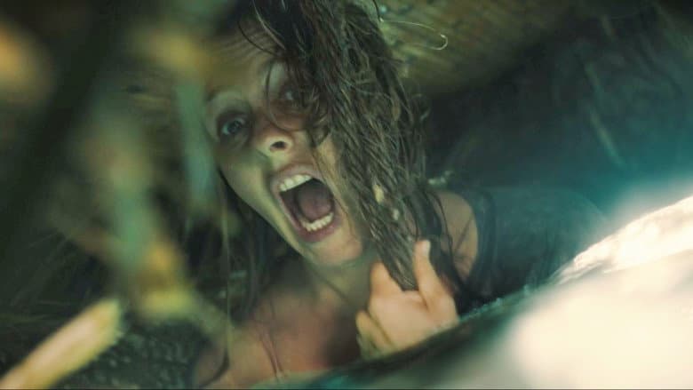 The Requin still