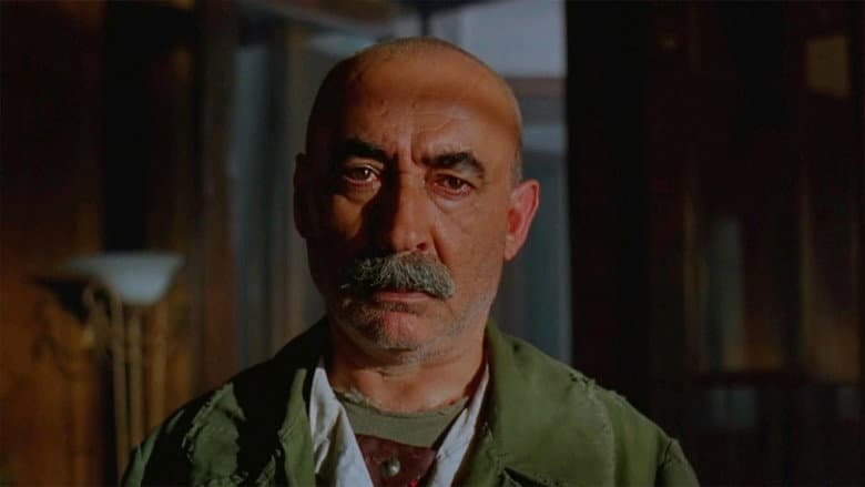 The Bandit still