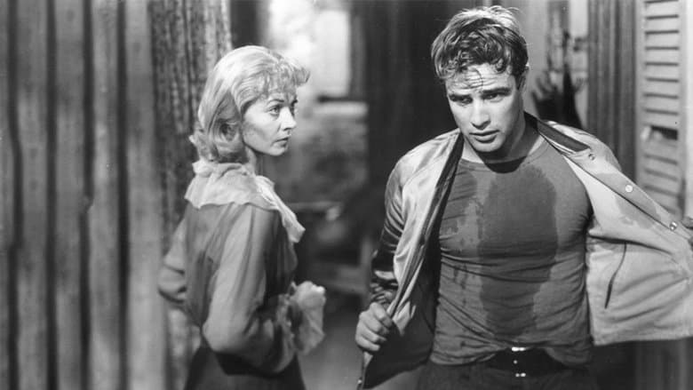 A Streetcar Named Desire still