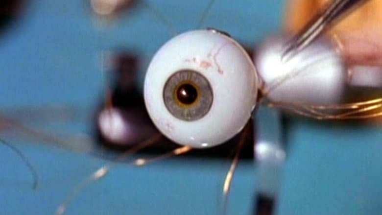 Spy in Your Eye still