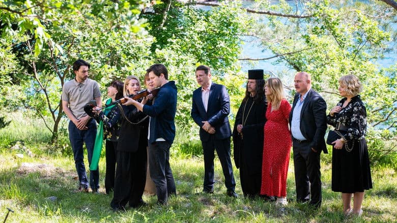 The Wedding still