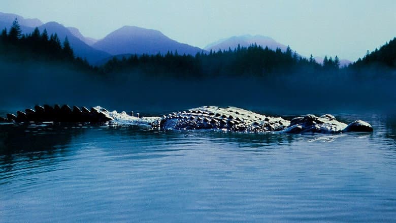 Lake Placid still