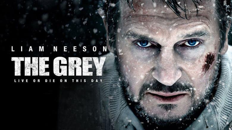 The Grey still