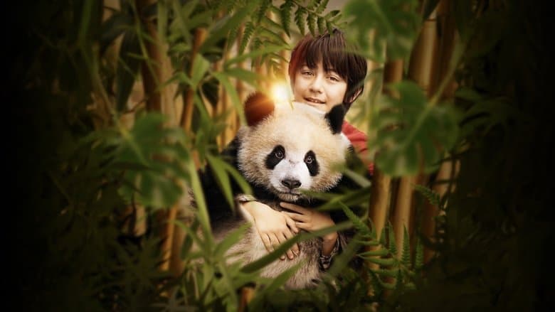 Moon the Panda still