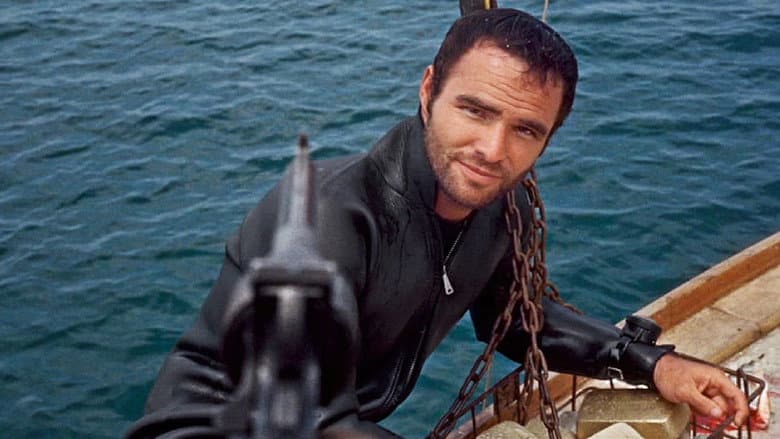 Shark still