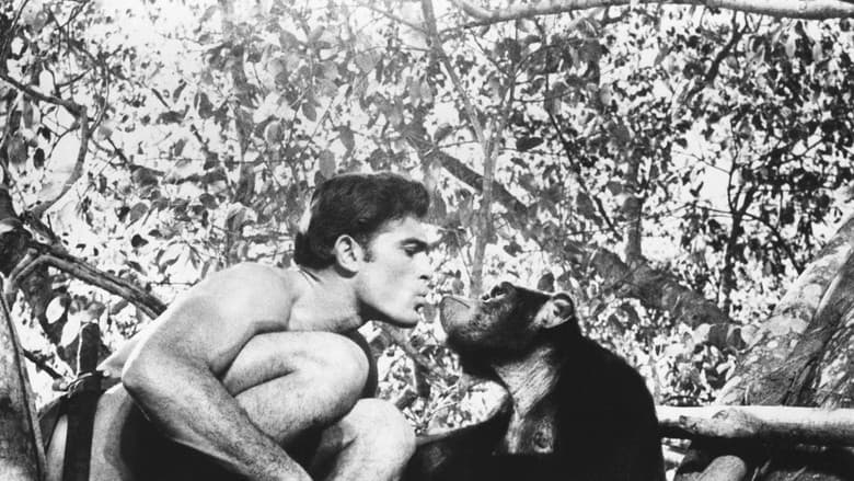 Tarzan and the Valley of Gold still