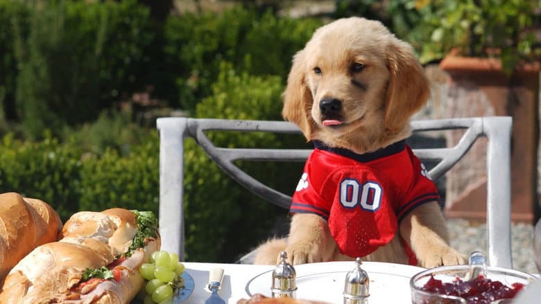 Air Buddies still