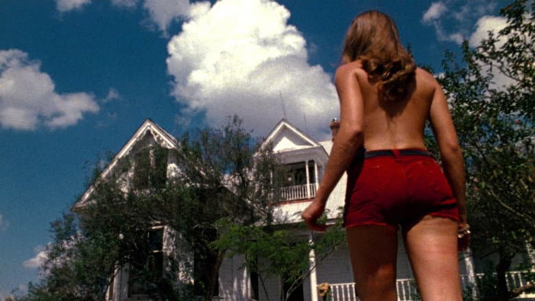 The Texas Chain Saw Massacre still