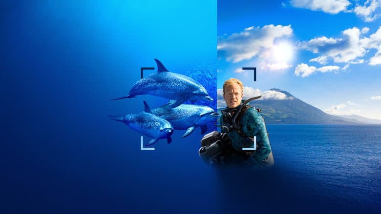Dolphins Up Close with Bertie Gregory still