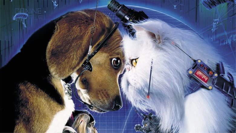 Cats & Dogs still
