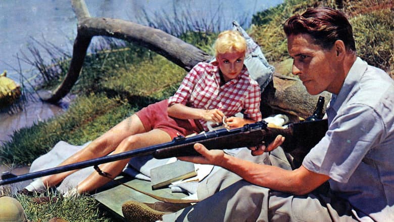 Safari still