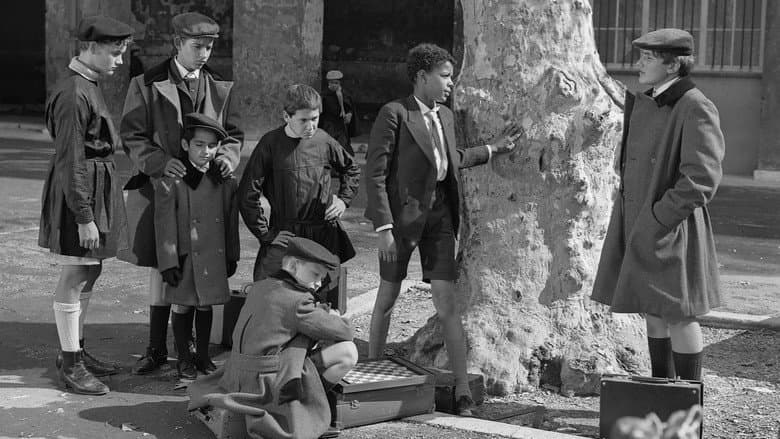 Merlusse still