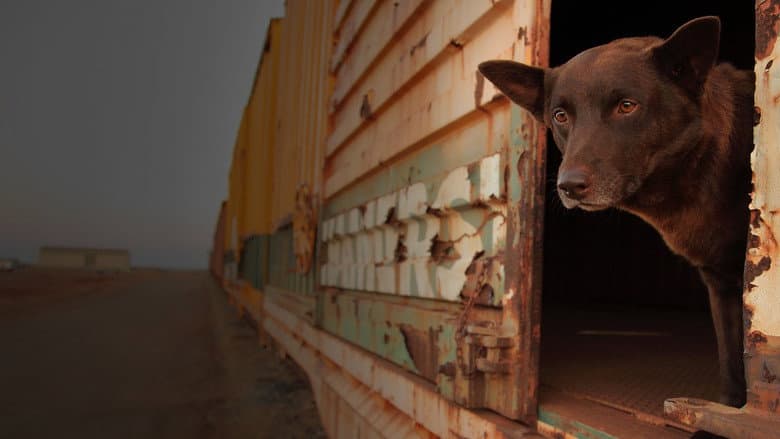 Red Dog still