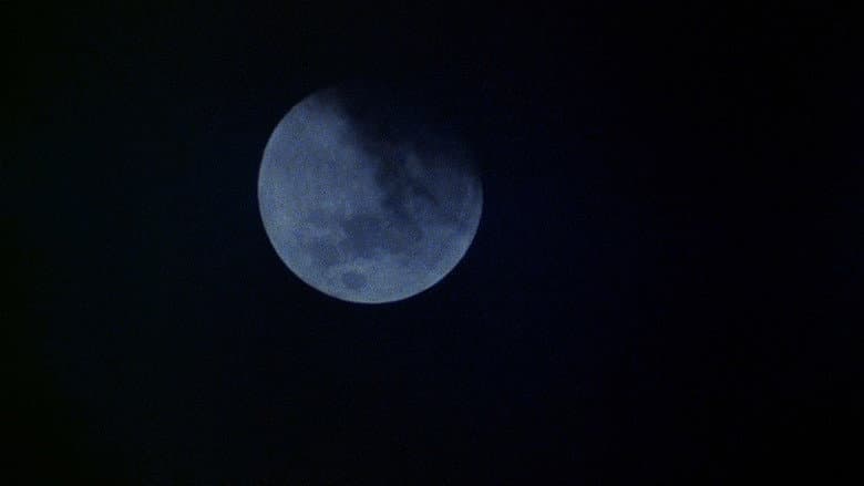An American Werewolf in London still