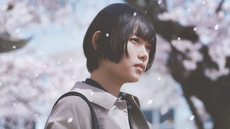 Sakura still