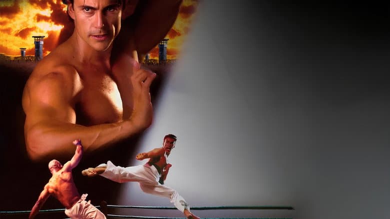 Bloodsport: The Dark Kumite still