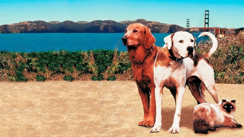 Homeward Bound II: Lost in San Francisco still