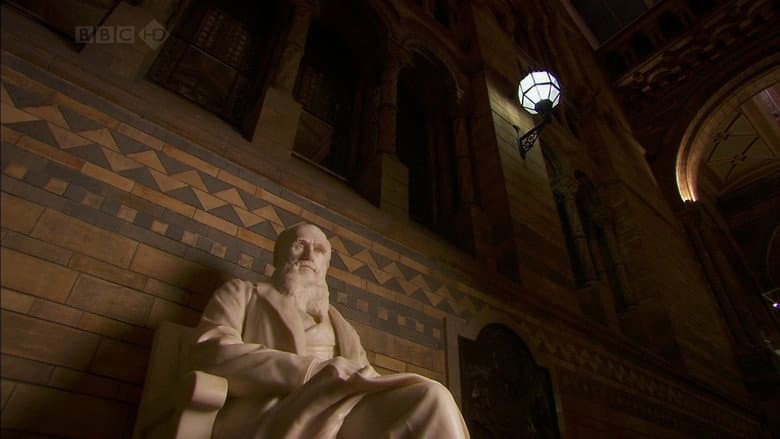 Charles Darwin and the Tree of Life still