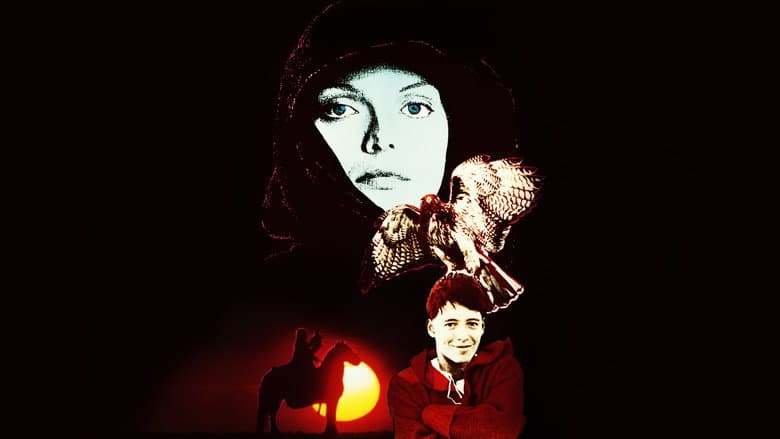 Ladyhawke still