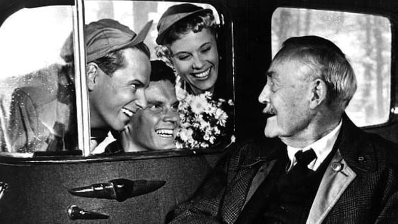 Wild Strawberries still