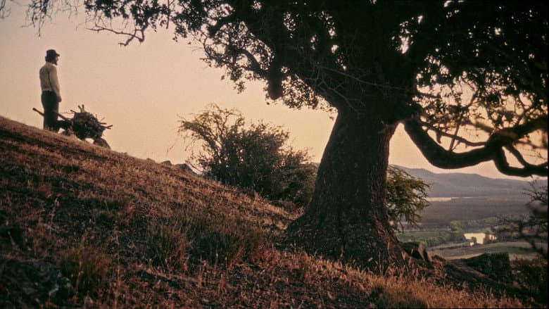 SHORTCUT still