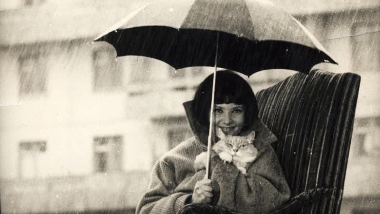 Blind Rain still