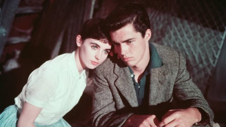 The Diary of Anne Frank still