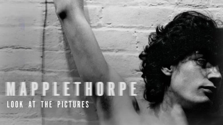 Mapplethorpe: Look at the Pictures still