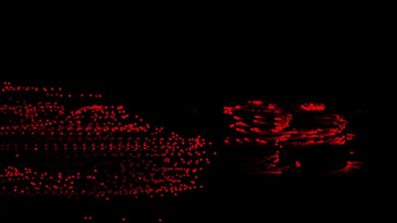 Shapeless Tracking still