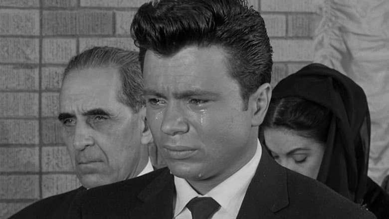 The Tijuana Story still