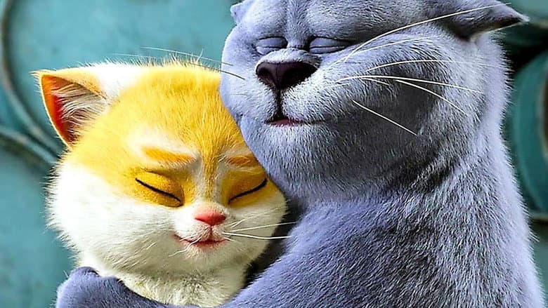Cats still