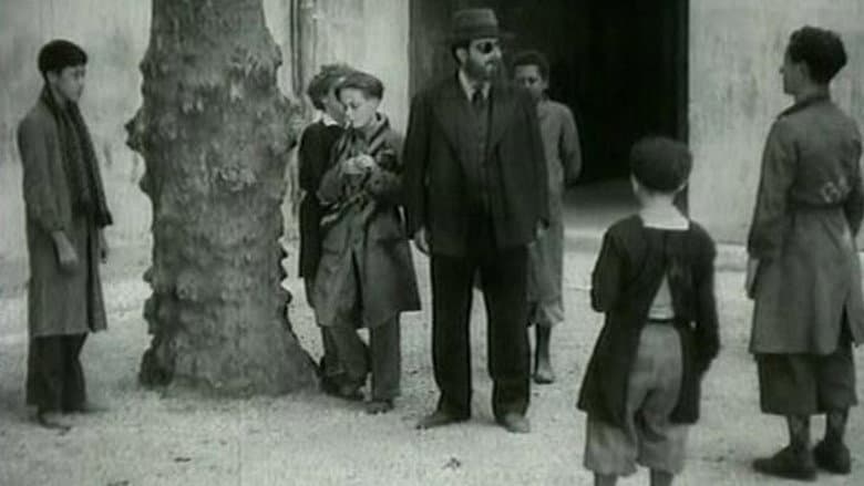 Merlusse still