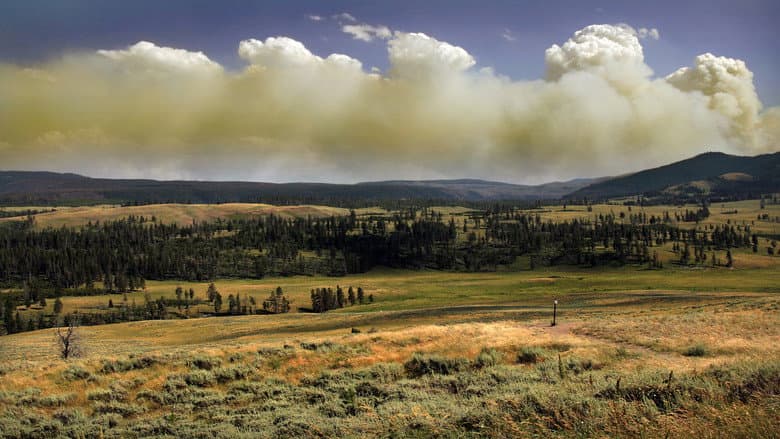 National Parks Exploration Series: Yellowstone still