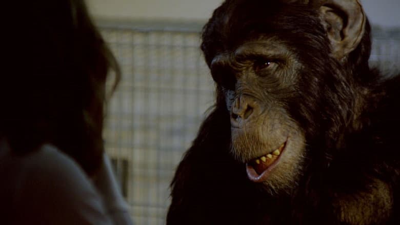 Amazing Ape still