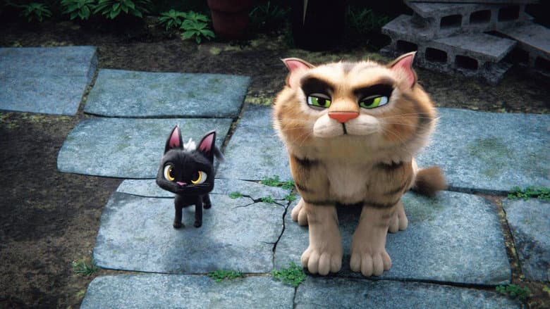 Rudolf the Black Cat still