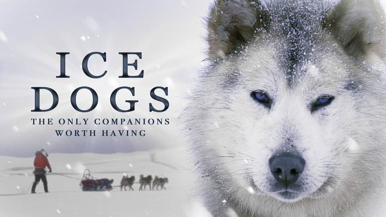 Ice Dogs: The Only Companions Worth Having still
