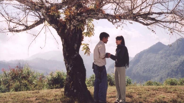 The Letter still