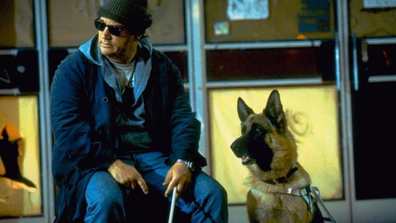 K-9: P.I. still