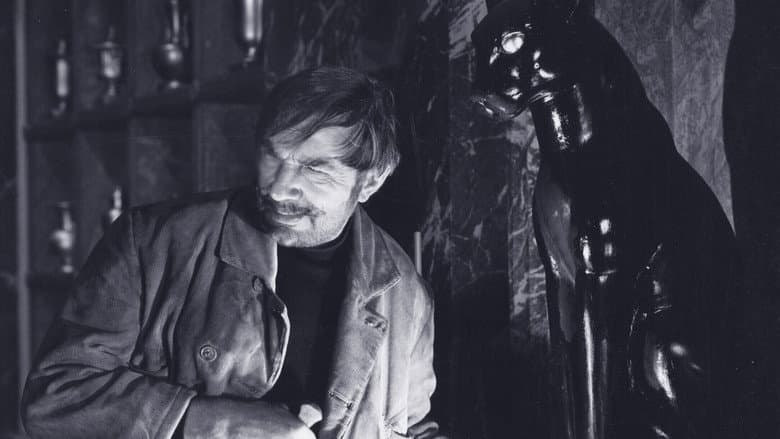 The Black Cat still