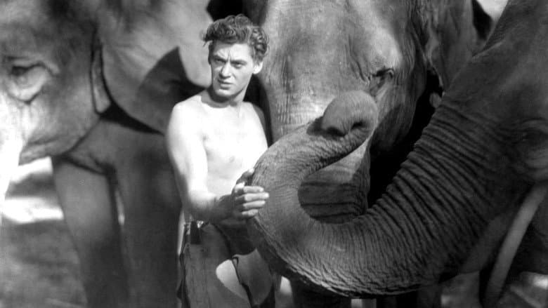 Tarzan the Ape Man still