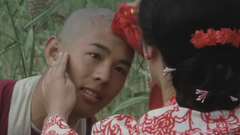 Shaolin Temple still