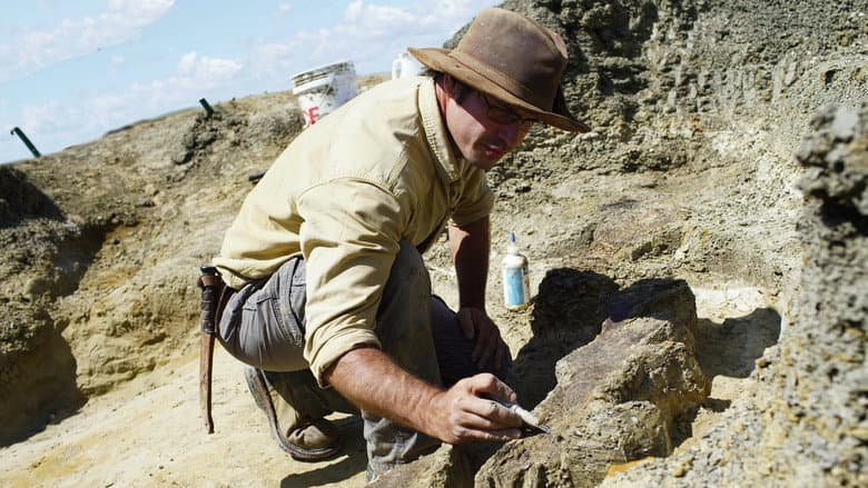 Dinosaurs: The Final Day with David Attenborough still