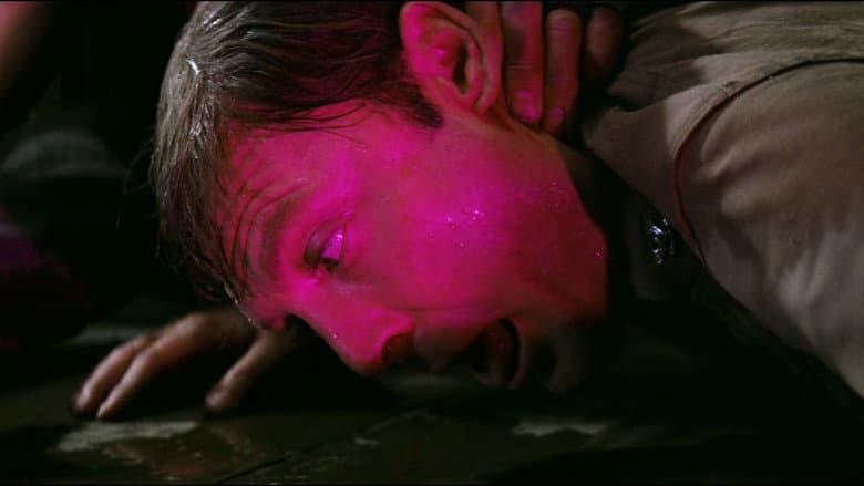 The Ninth Configuration still