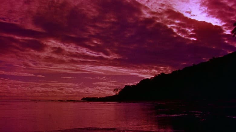 South Pacific still